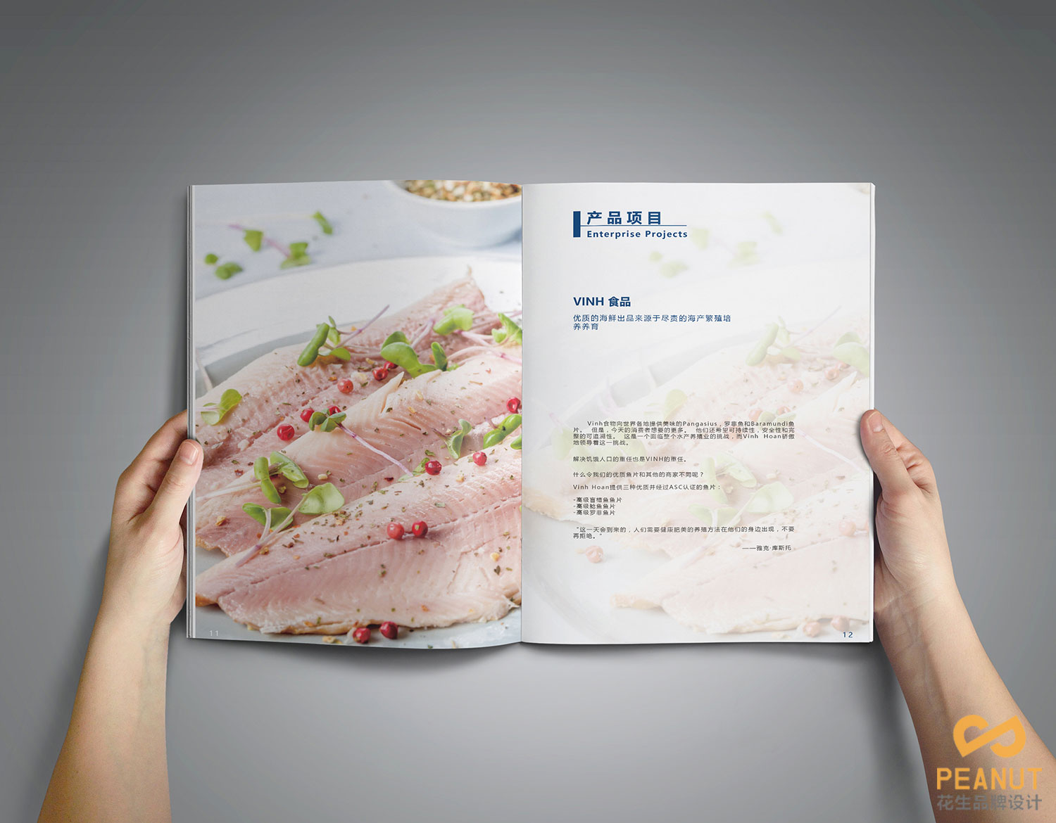食品画册设计思路
