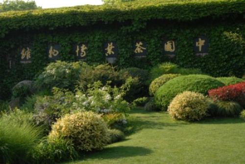 中国茶叶博物馆LOGO设计理念 