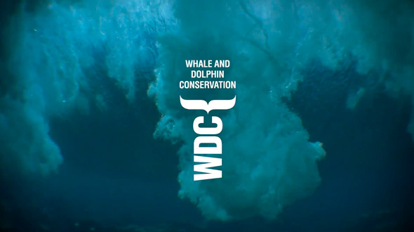 海盜灣推出九頭蛇LOGO 海盜灣推出九頭蛇LOGO