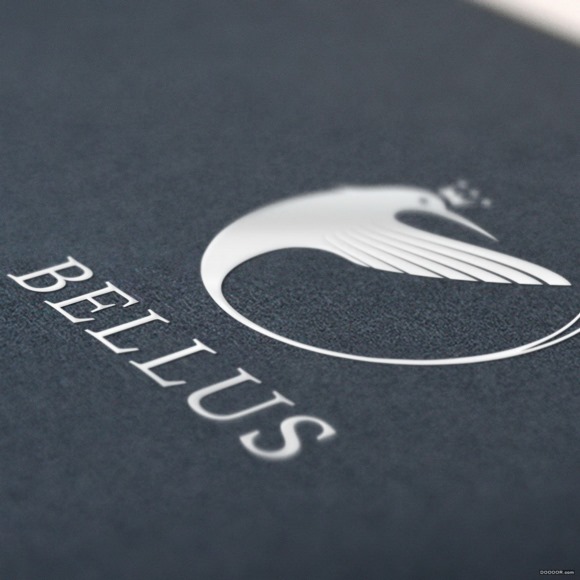 BELLUS服装品牌燕尾蜂鸟VI设计案例赏析