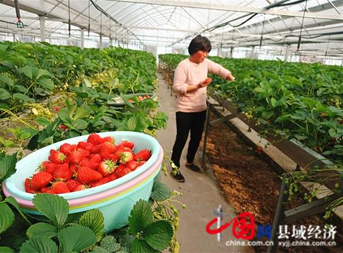 泗县墩集草莓特产包装盒该怎么设计