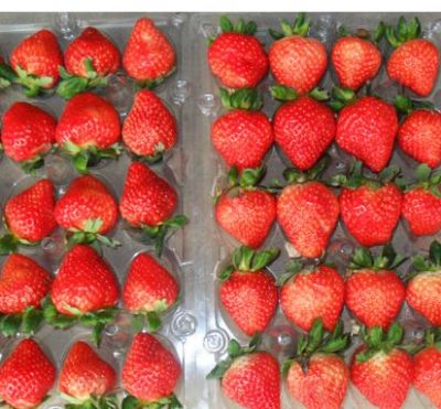 春峰草莓特产包装盒该怎么设计