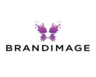 品牌咨询设计公司Brandimage标志logo