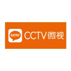 CCTV微视LOGO设计含义
