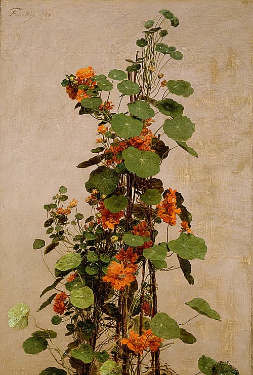 《金蓮花》作品賞析