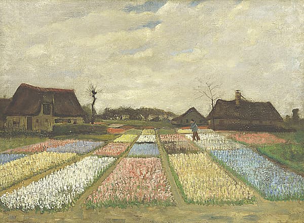《荷蘭的花床》作品賞析