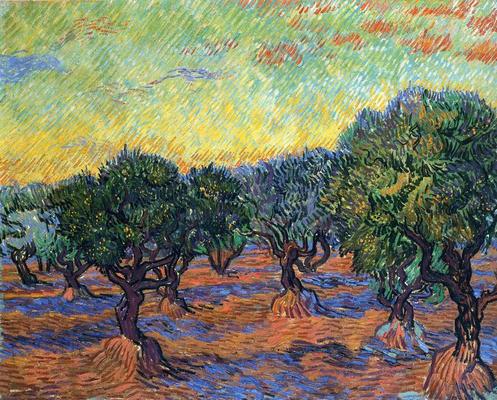 《橄榄树林 - 橙色的天空》作品赏析