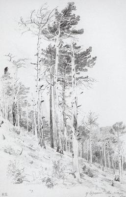 《在埃佩特里山頂》作品賞析