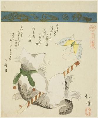 《玩玩具蝴蝶的貓》作品賞析