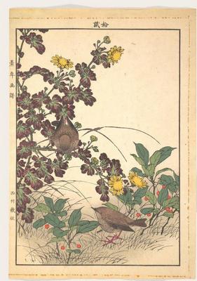 《景年花鳥畫譜》作品賞析