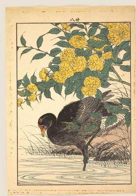 《景年花鳥書譜》作品賞析