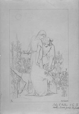 《我美麗的女士》作品賞析