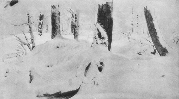 《雪下的森林》作品賞析