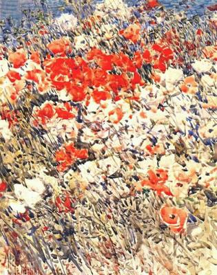 《島上的花園》作品賞析