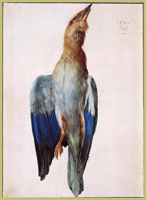 《死去的藍鳥》作品賞析