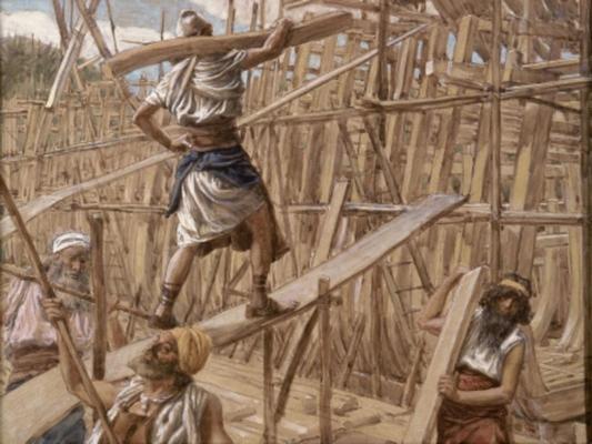 《建造避難所》作品賞析