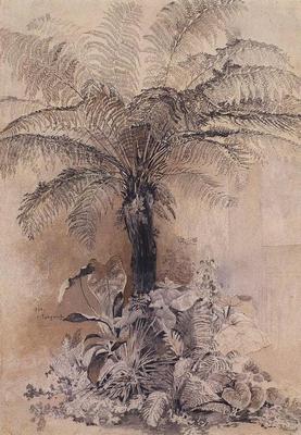 《熱帶植物》作品賞析