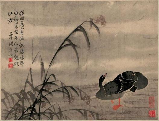 《蘆雁圖1》作品賞析