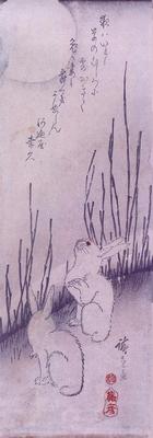 《月下白兔》作品賞析
