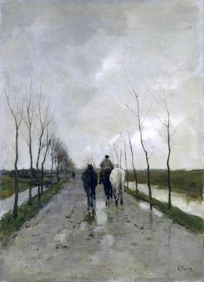 《荷蘭路》作品賞析