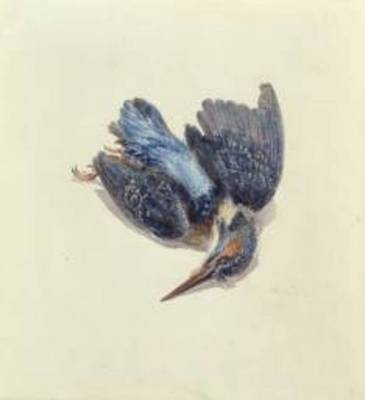 《死翠鳥》作品賞析