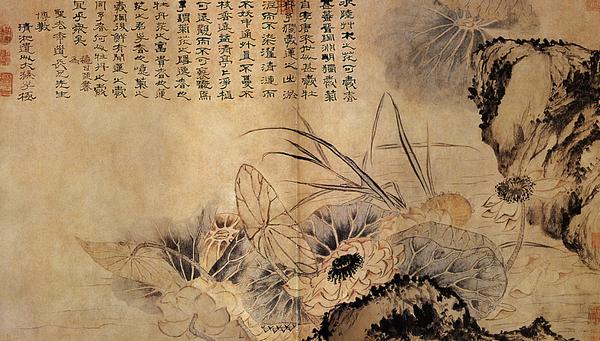 《蓮花池》作品賞析