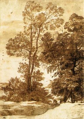《樹木》作品賞析