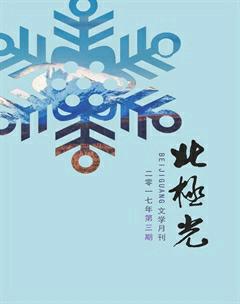 《北極光》2017年3期封面圖