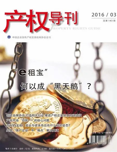 《產(chǎn)權(quán)導(dǎo)刊》2016年3期封面圖