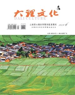 《大理文化》2019年4期封面圖