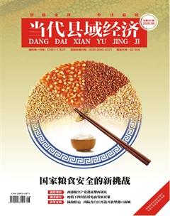《當代縣域經濟》2020年8期封面圖