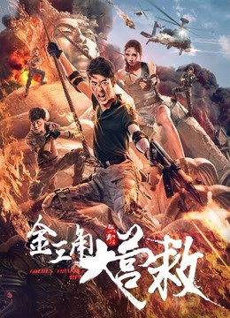 《金三角大營救》電影海報封面