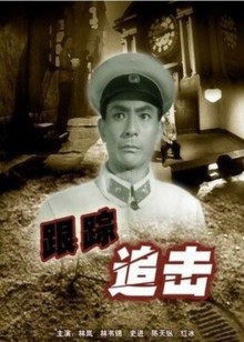 《跟蹤追擊》電影海報封面