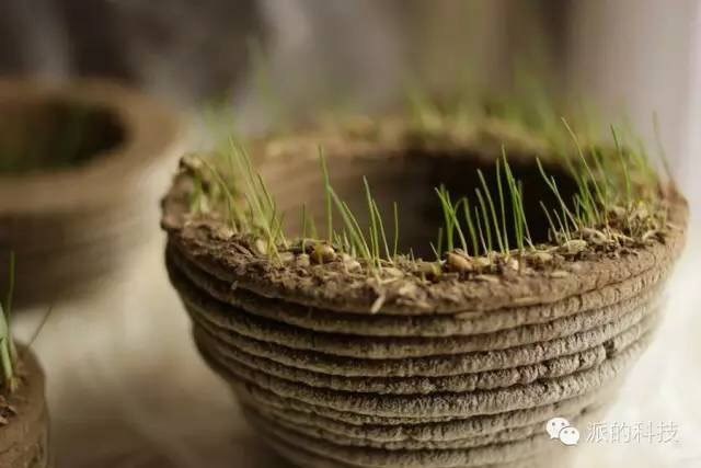  哇哦，3D打印機打出來的綠色盆栽工業設計作品賞析