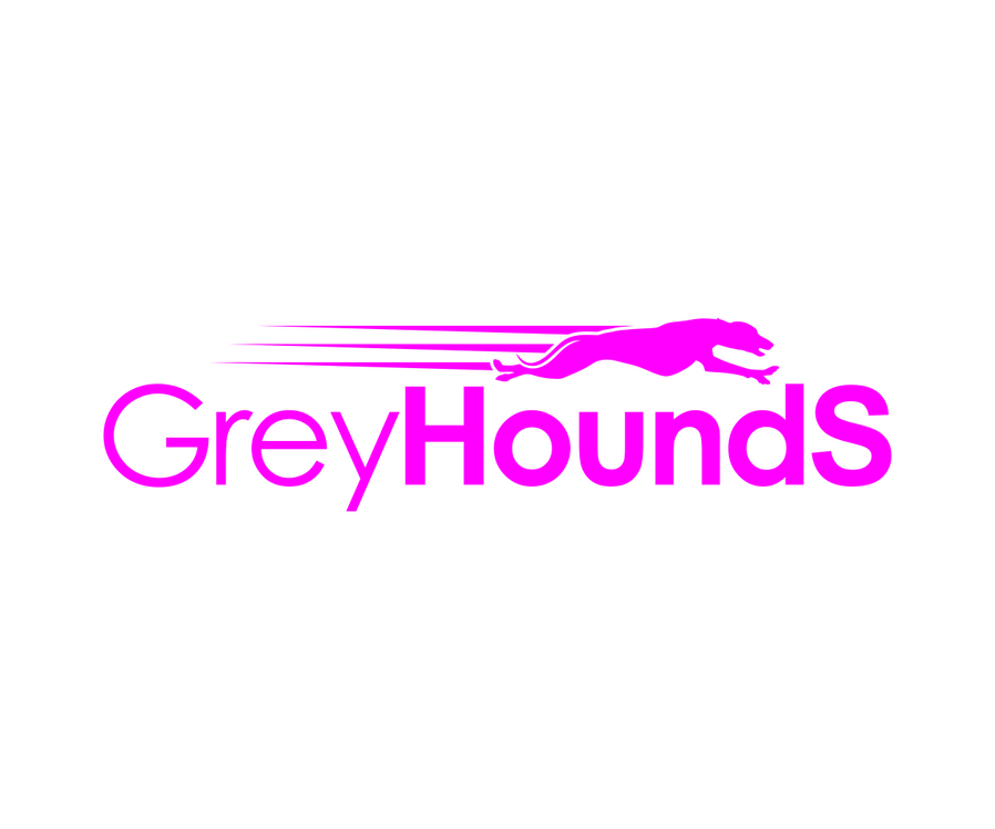 新产品发布团队：GreyHoundS