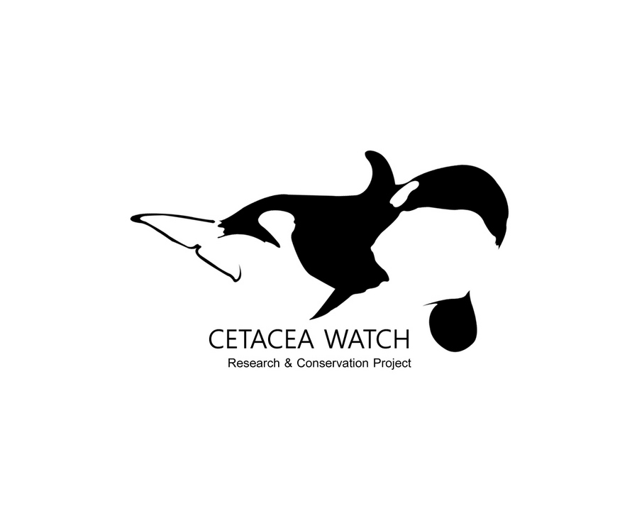 Cetacea手表，海洋哺乳动物咨询公司
