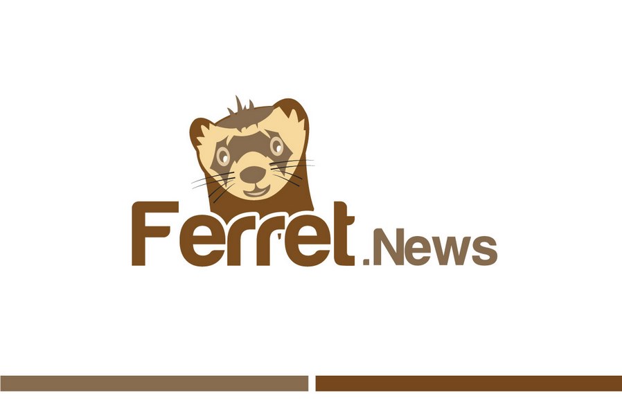 費雷特新聞標志設計