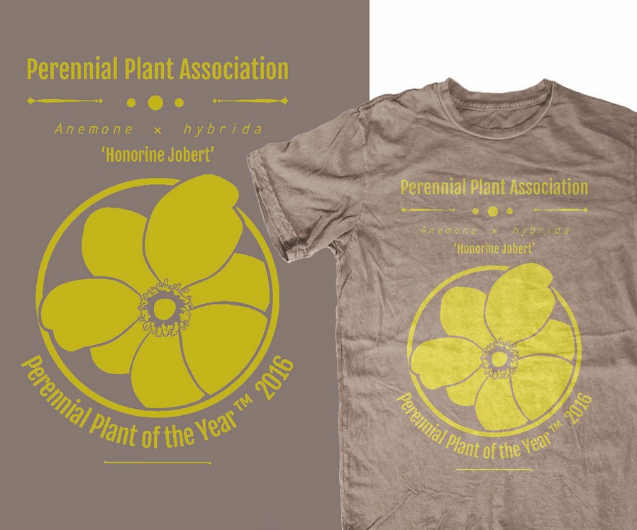 国际常年工厂组织T恤设计