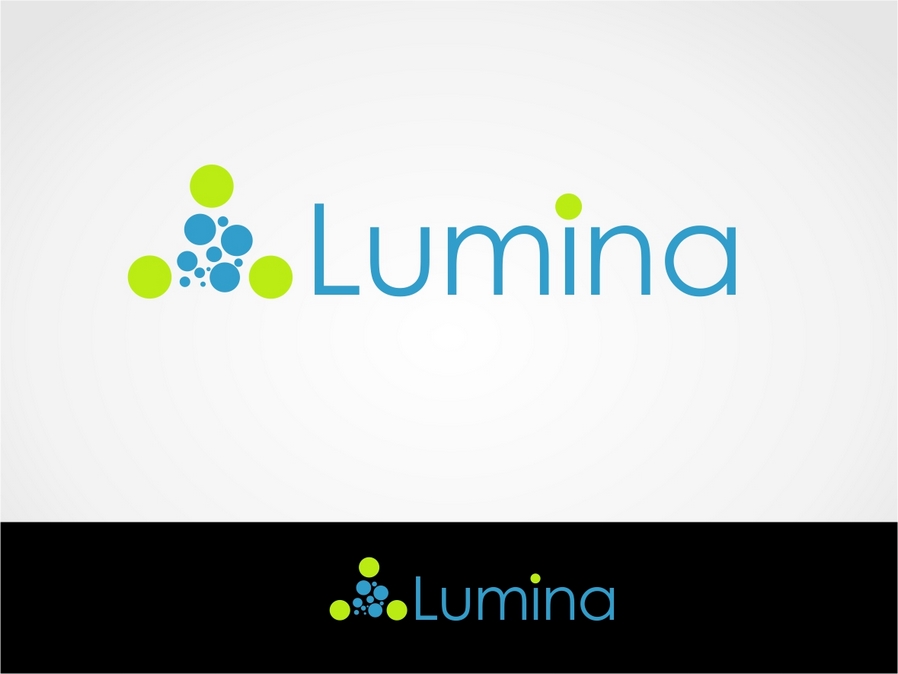 风险管理咨询公司Lumina分析徽标