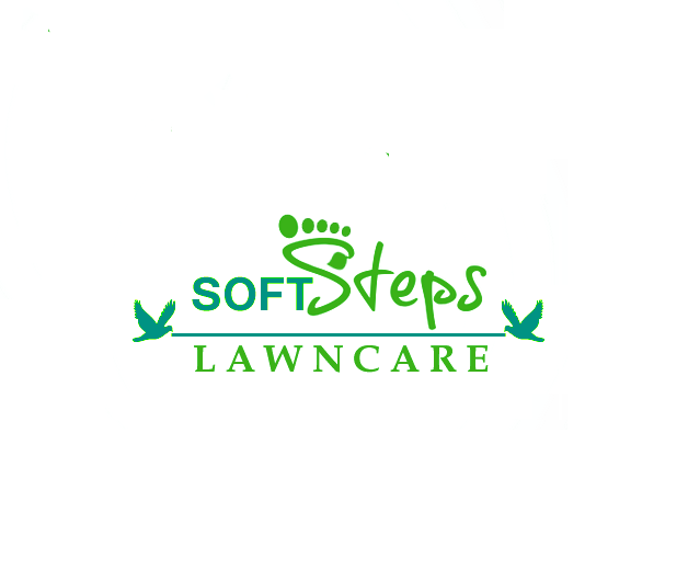 軟步LAWNCARE有趣標志