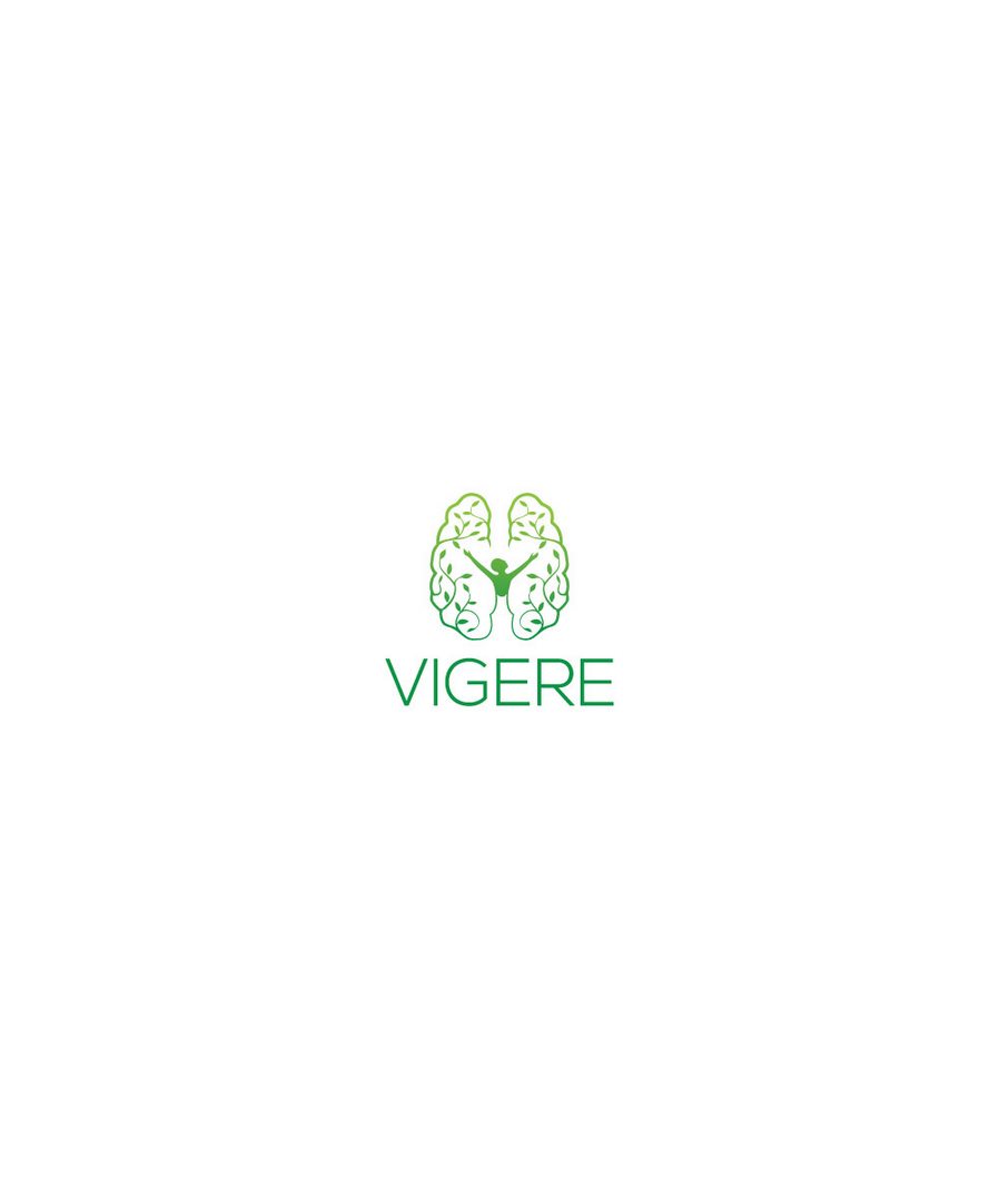 Vigere徽標設計